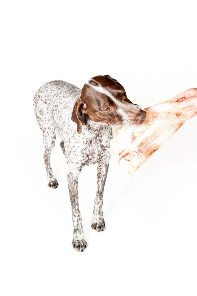 Winnie Lou - Bison Scapula Dog Chew
