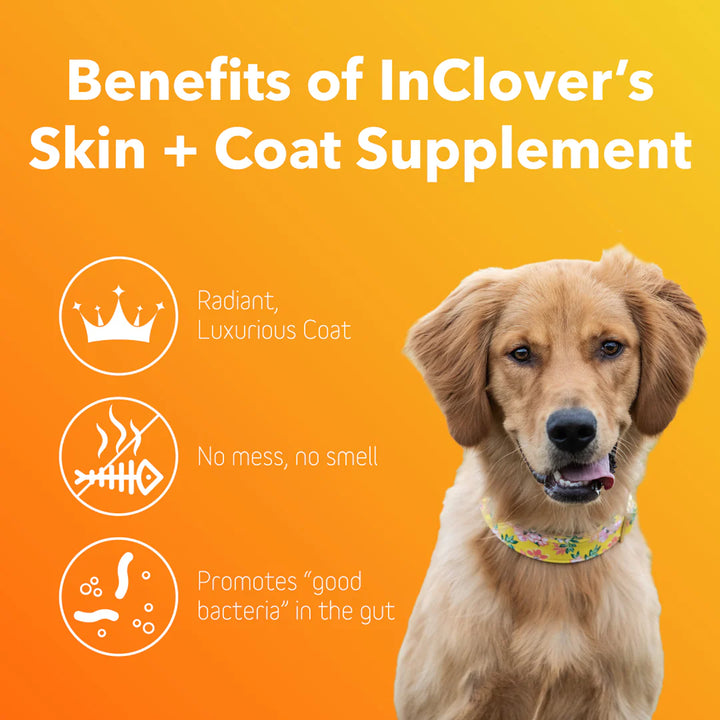 inClover - Skin & Coat Supplement 100g