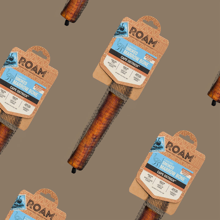 Roam - Smoked Ostrich Marrow Bone (Large 1-pack)