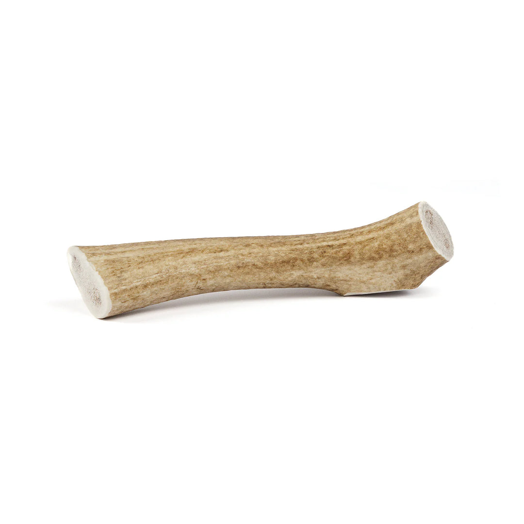 Elk Antlers - Whole