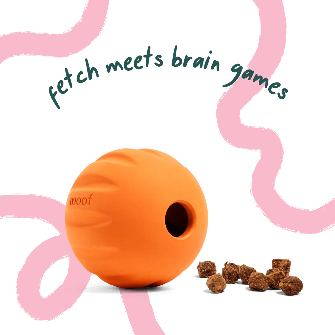 Dog Toy: Woof - Flyball (Orange)