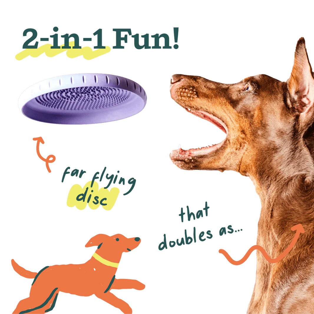 Dog Toy: Woof - Forager Fly n' Feed Frisbee Toy