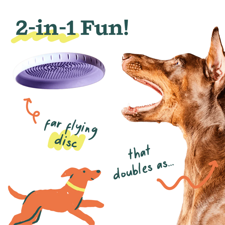 Dog Toy: Woof - Forager Fly n' Feed Frisbee Toy
