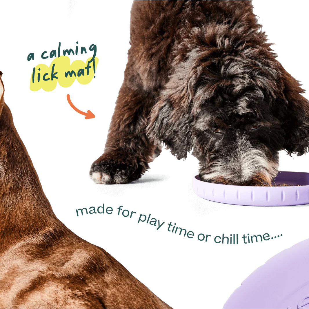 Dog Toy: Woof - Forager Fly n' Feed Frisbee Toy