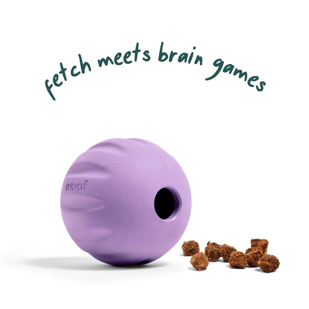 Dog Toy: Woof - Flyball