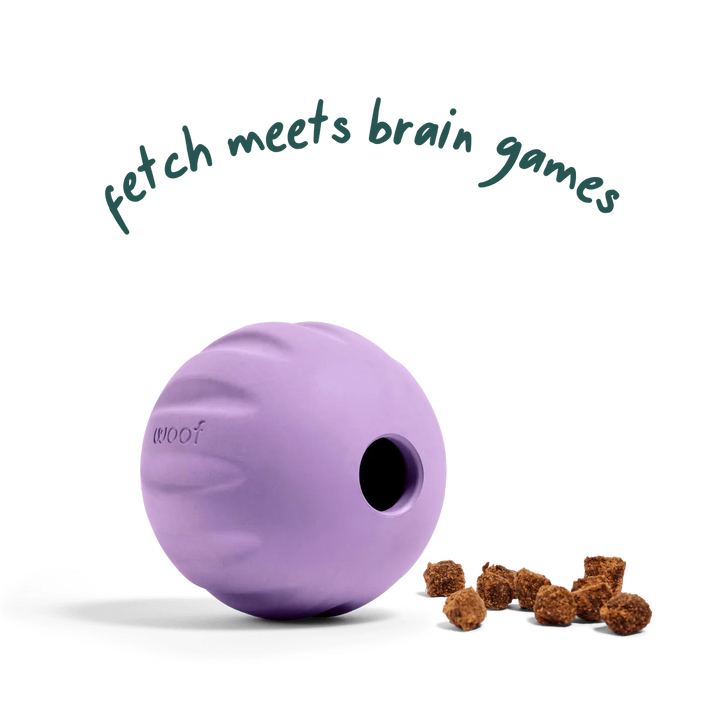 Dog Toy: Woof - Flyball