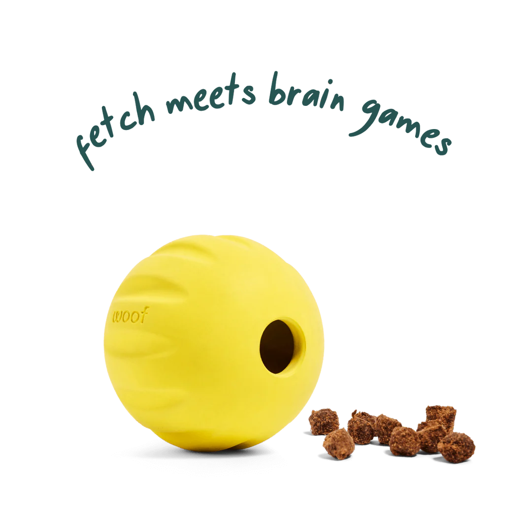 Dog Toy: Woof - Flyball