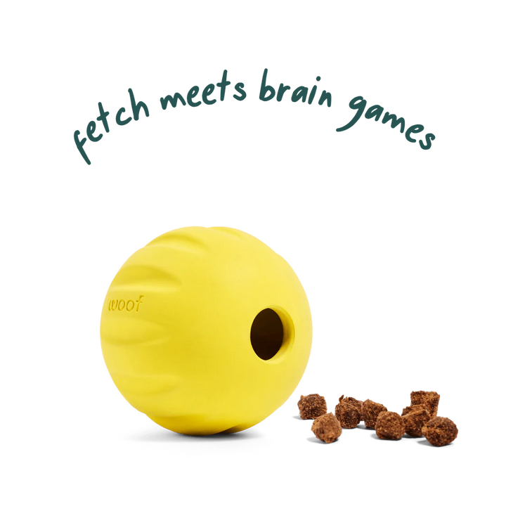 Dog Toy: Woof - Flyball