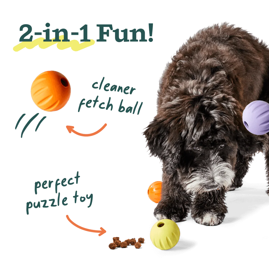 Dog Toy: Woof - Flyball