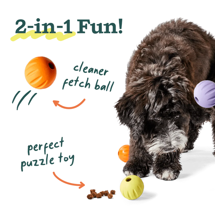 Dog Toy: Woof - Flyball