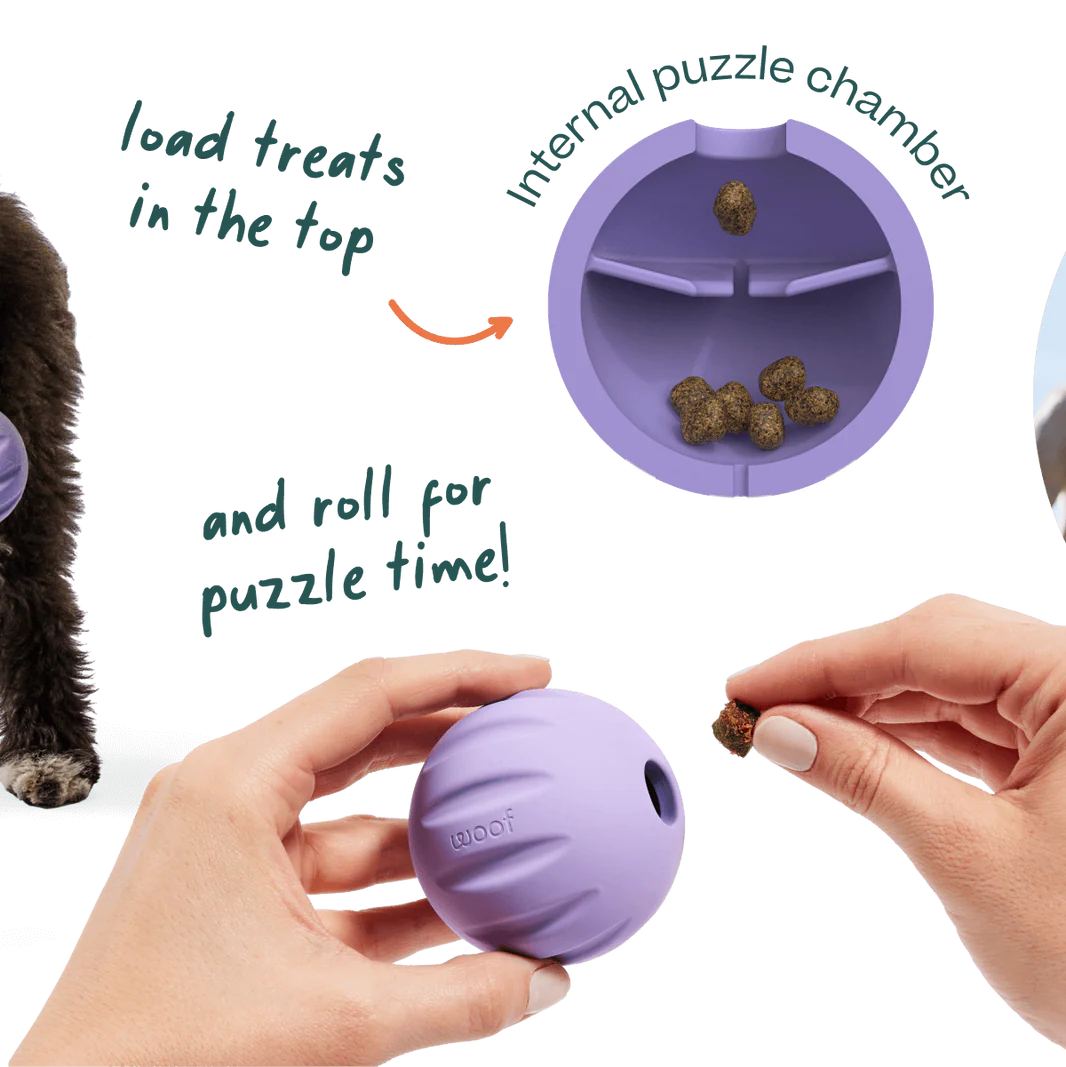 Dog Toy: Woof - Flyball