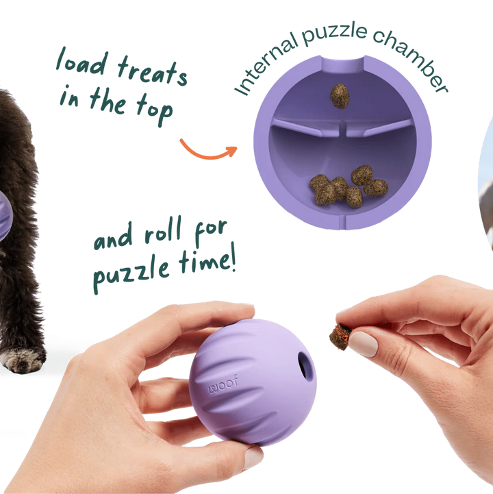 Dog Toy: Woof - Flyball