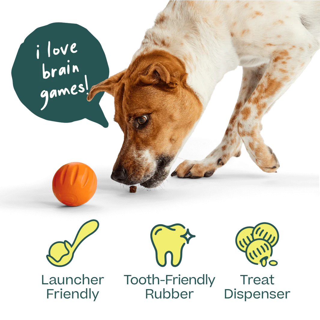 Dog Toy: Woof - Flyball