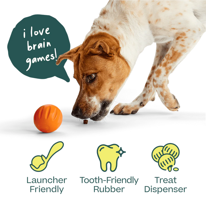 Dog Toy: Woof - Flyball
