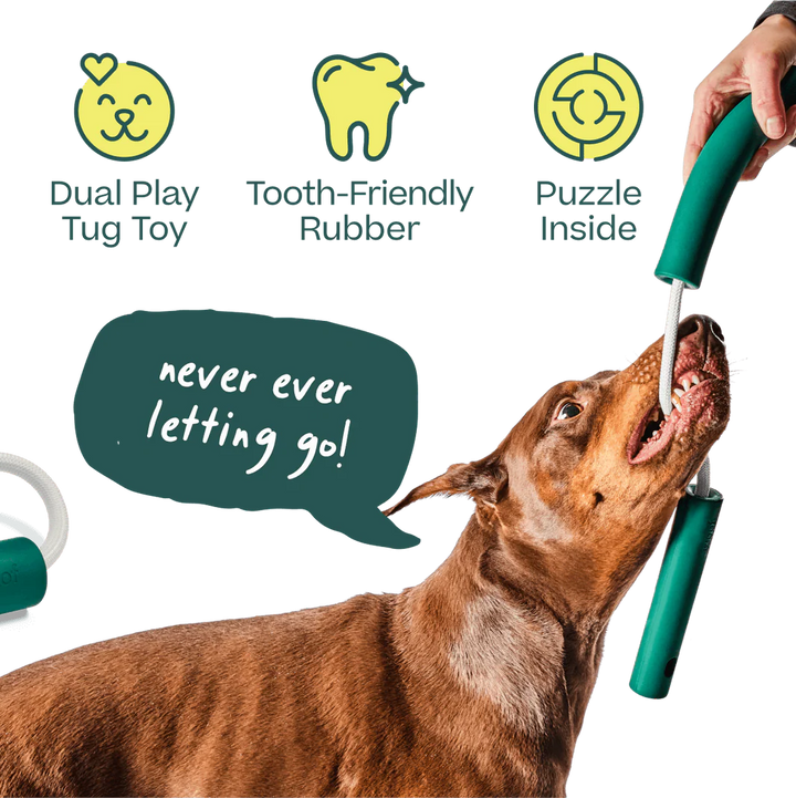 Dog Toy: Woof - Forager Nomchucks