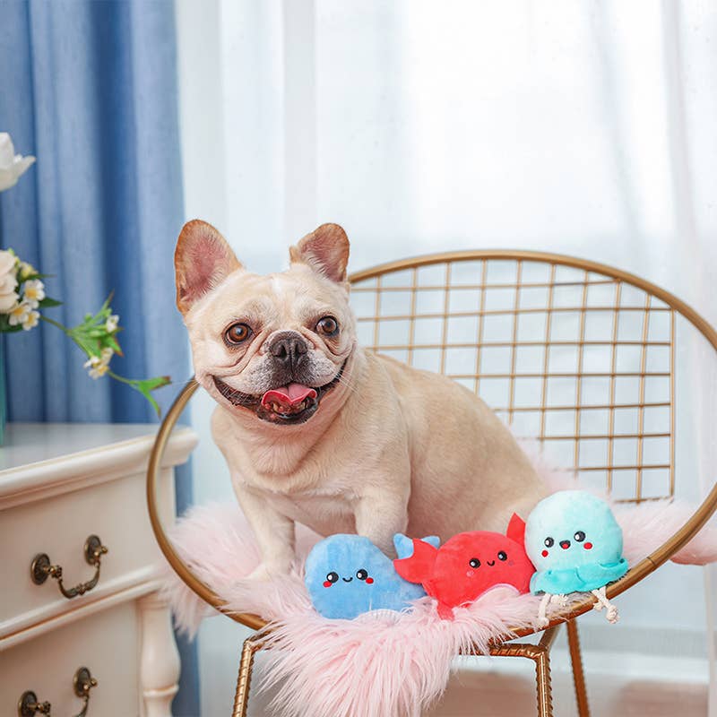 Dog Toy: Sea Creatures Plush