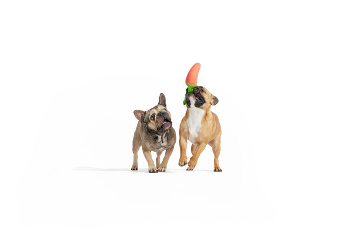 BARK - Super Chewer Habanero Pupper Dog Toy