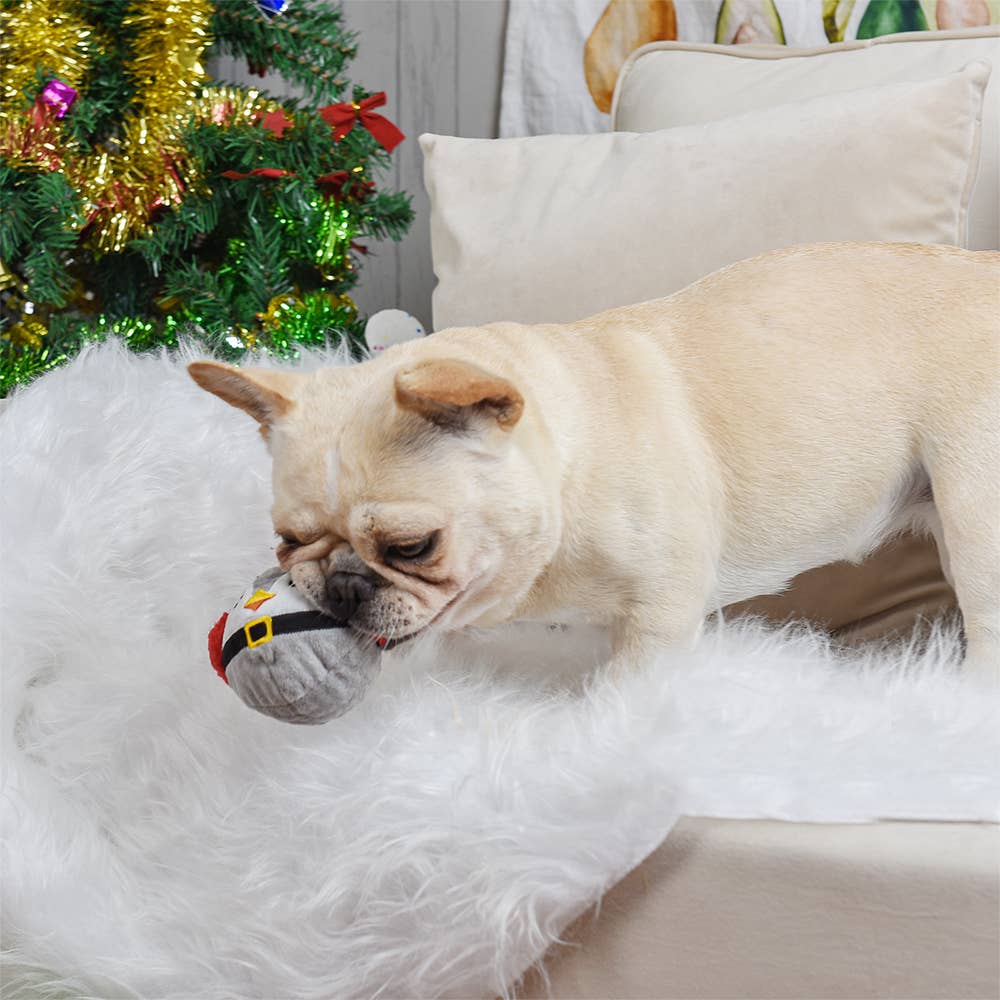 Dog Toy: Penguin Ball