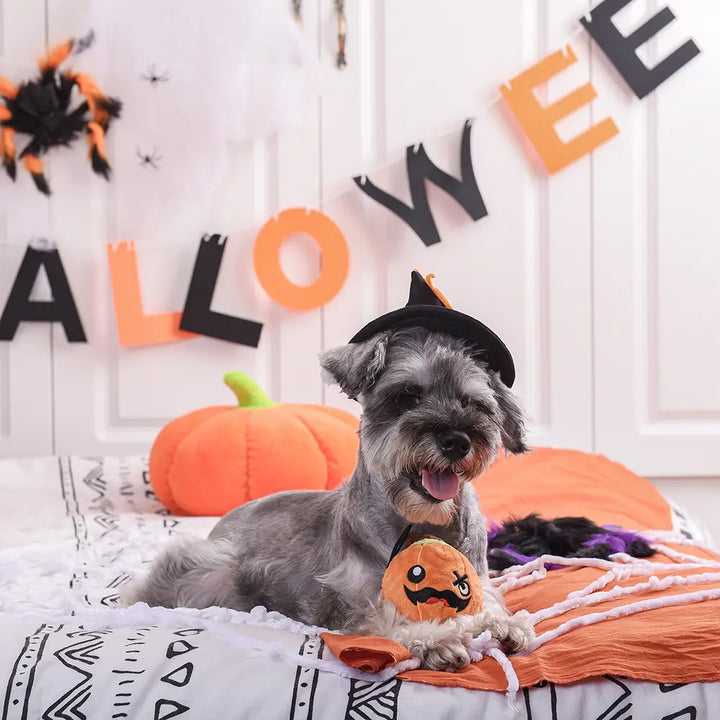 Dog Toy: Pumpkin Ball