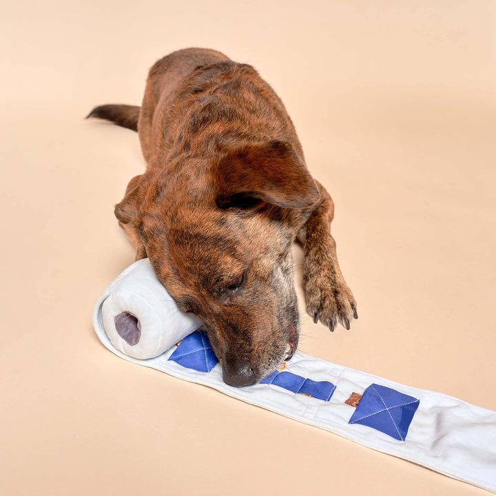 Toilet Paper Nosework Toy
