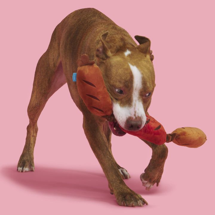 BARK - Lickin' Links Dog Toy