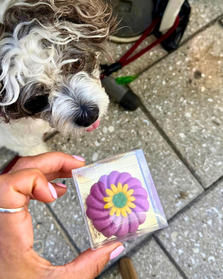 Gourmet Dog Truffles (Single)