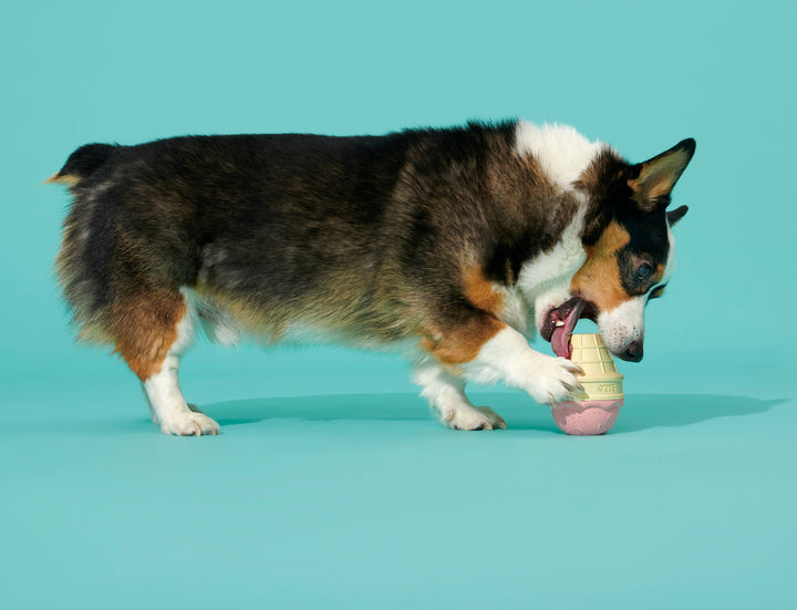 BARK - Super Chewer I-Squeak Cone Dog Toy