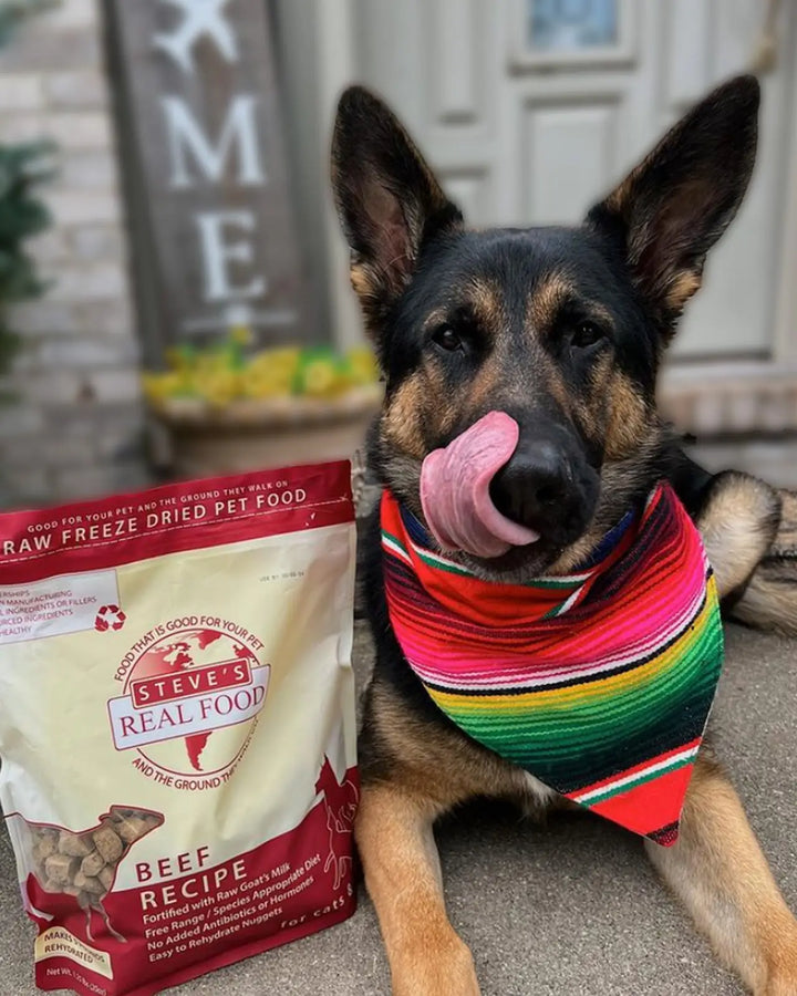 Steve's Real Food: Freeze-Dried Dog Food - Beef 20oz