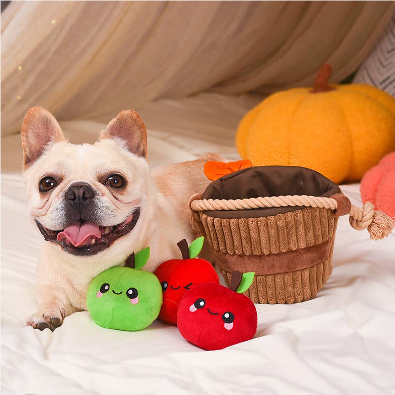 Dog Toy: Apple Basket Interactive Toy