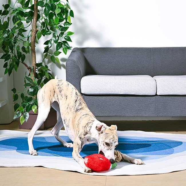 Dog Toy: Watermelon Popsicle Plush