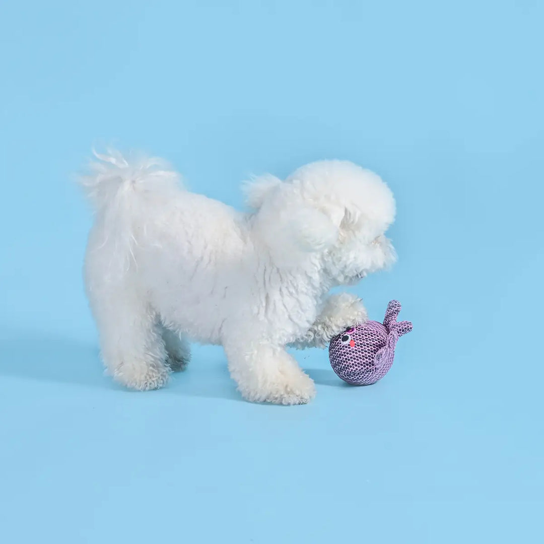 Dog Toy: Octopus Ball