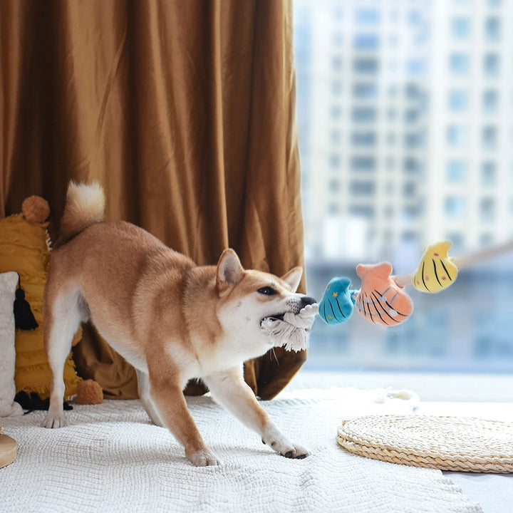 Dog Toy: Shell Necklace Rope Toy