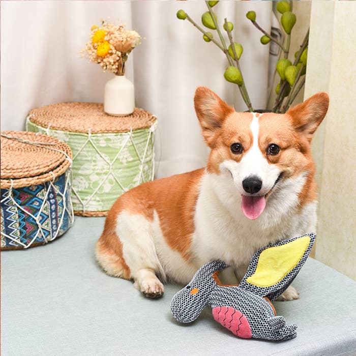 Dog Toy: Pterosaur Plush
