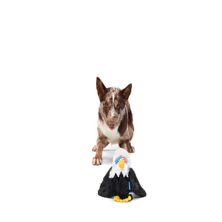 BARK - Bold Eagle Dog Toy