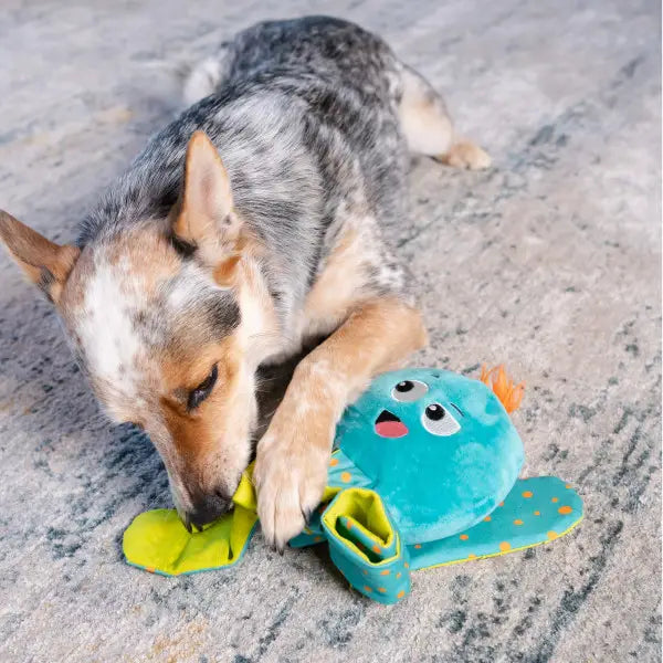 Dog Toy: Silly Legz Octopus Interactive Toy