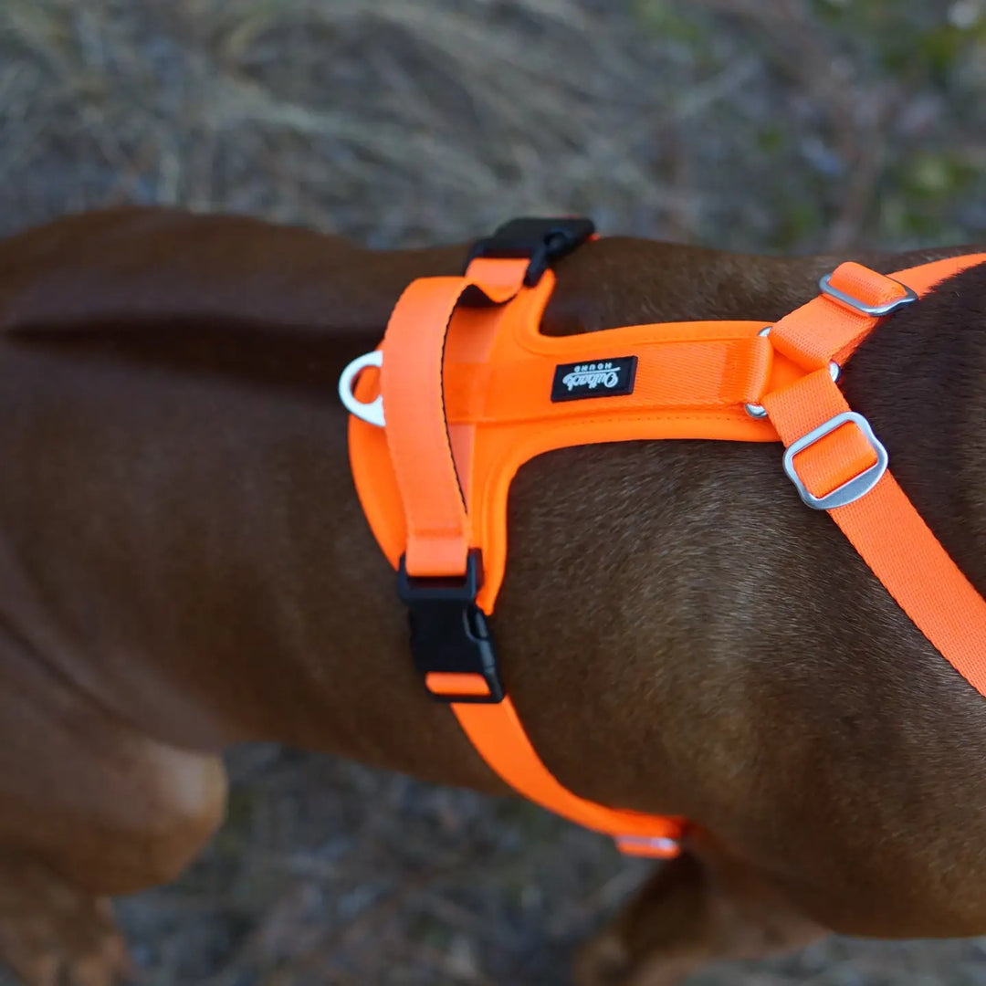 Outback Hound: Ultra Lite Comfort Harness - Hunter Orange