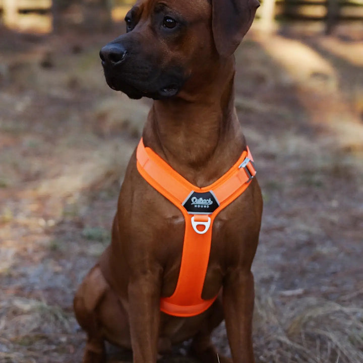 Outback Hound: Ultra Lite Comfort Harness - Hunter Orange
