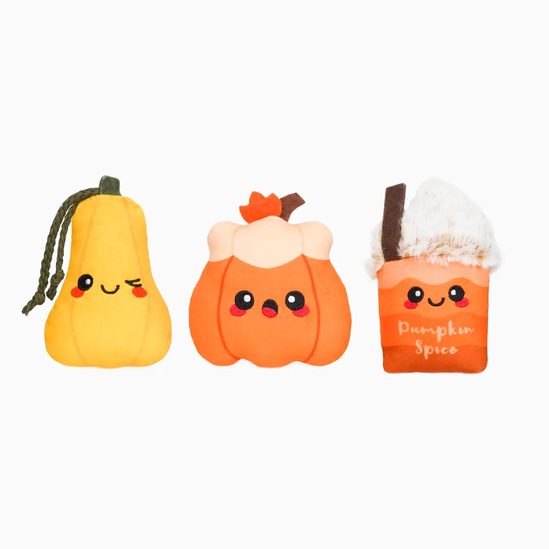 Dog Toy: Pumpkin Play Mini Plush Toys