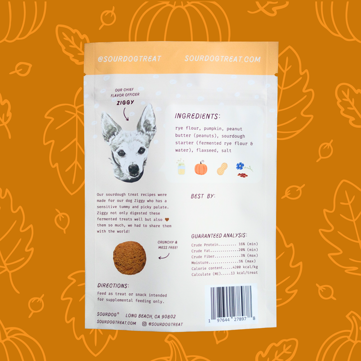 SourDog - Pupkin Pie: Pumpkin Sourdough Dog Treats 3.5oz