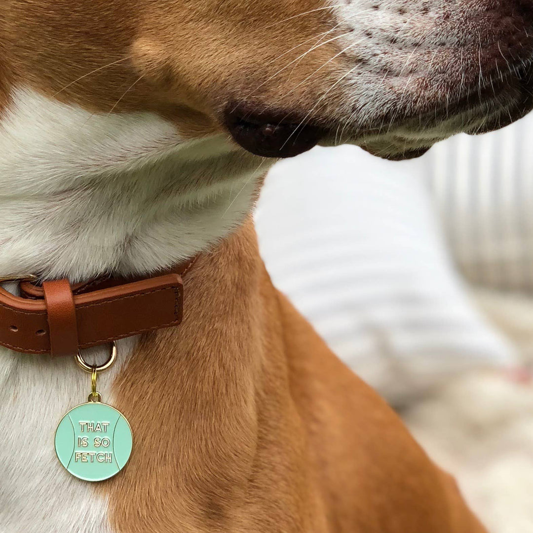Two Tails Pet Company - That is So Fetch Pet ID Tag