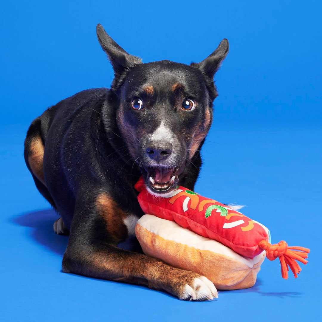 BARK - The Everything Dog Fourth Of July BBQ Dog Toy
