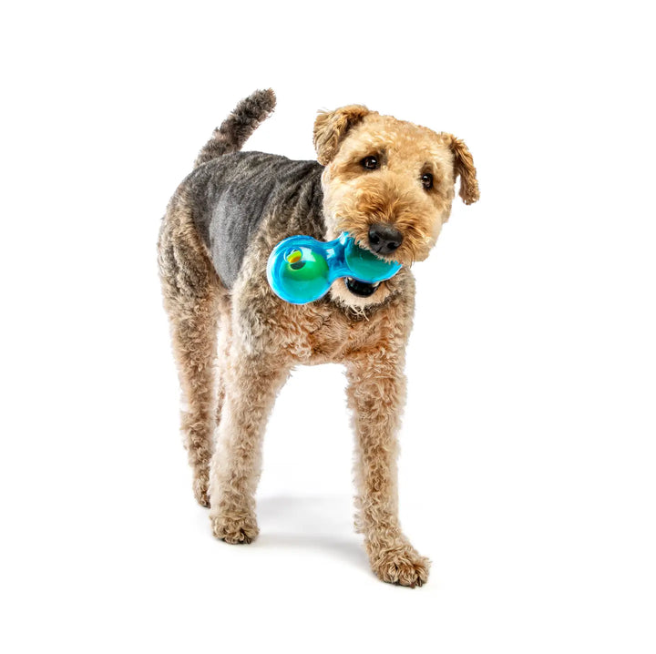 Dog Toy: Guru Pet Duo Ball Fetch Toy
