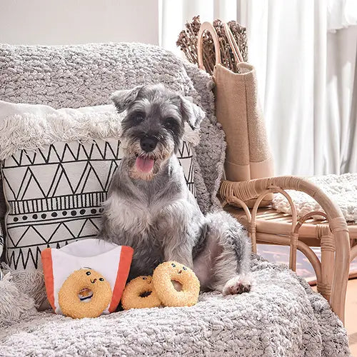 Dog Toy: Onion Rings Interactive Toy