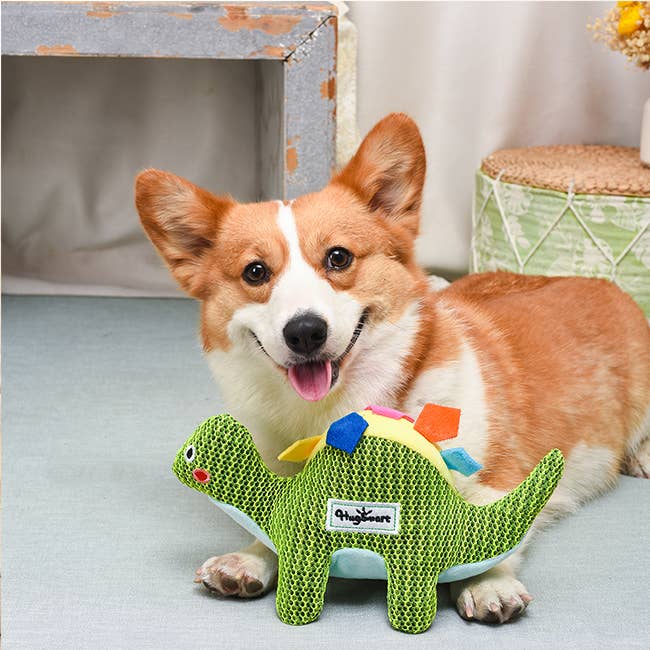 Dog Toy: Dinosaur Plush