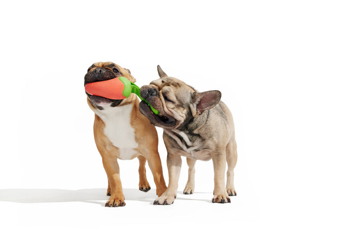 BARK - Super Chewer Habanero Pupper Dog Toy