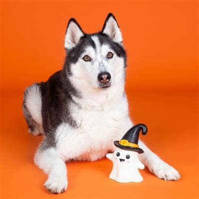 Dog Toy: One Wicked Ghost Latex Toy