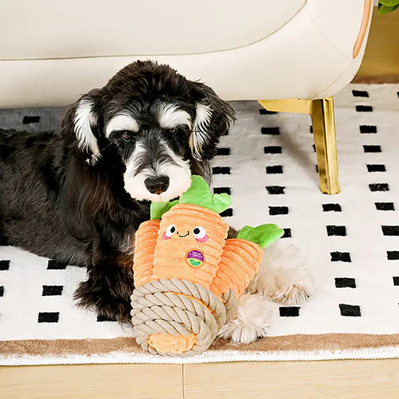 Dog Toy: Carrot Bunch Rope Toy