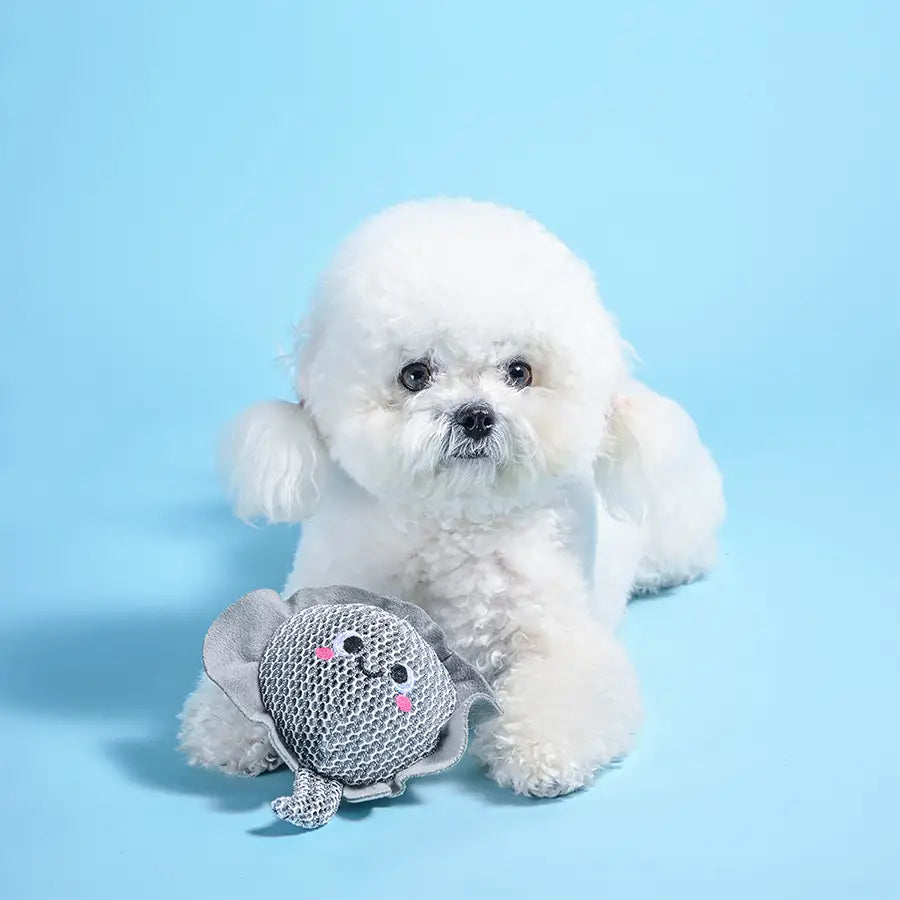Dog Toy: Stingray Ball