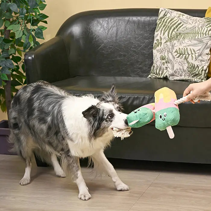 Dog Toy: Twin Pop