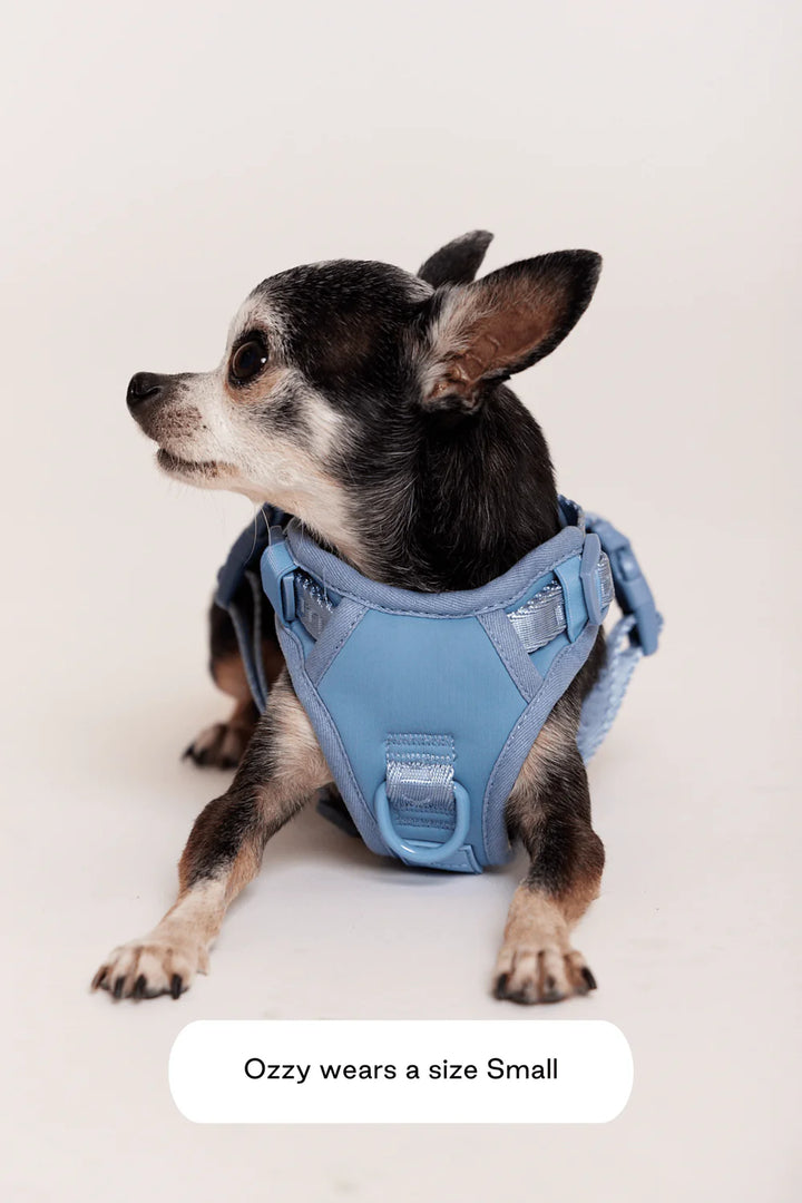 Maxbone - Easy Fit Dog Harness (Dusk Blue)